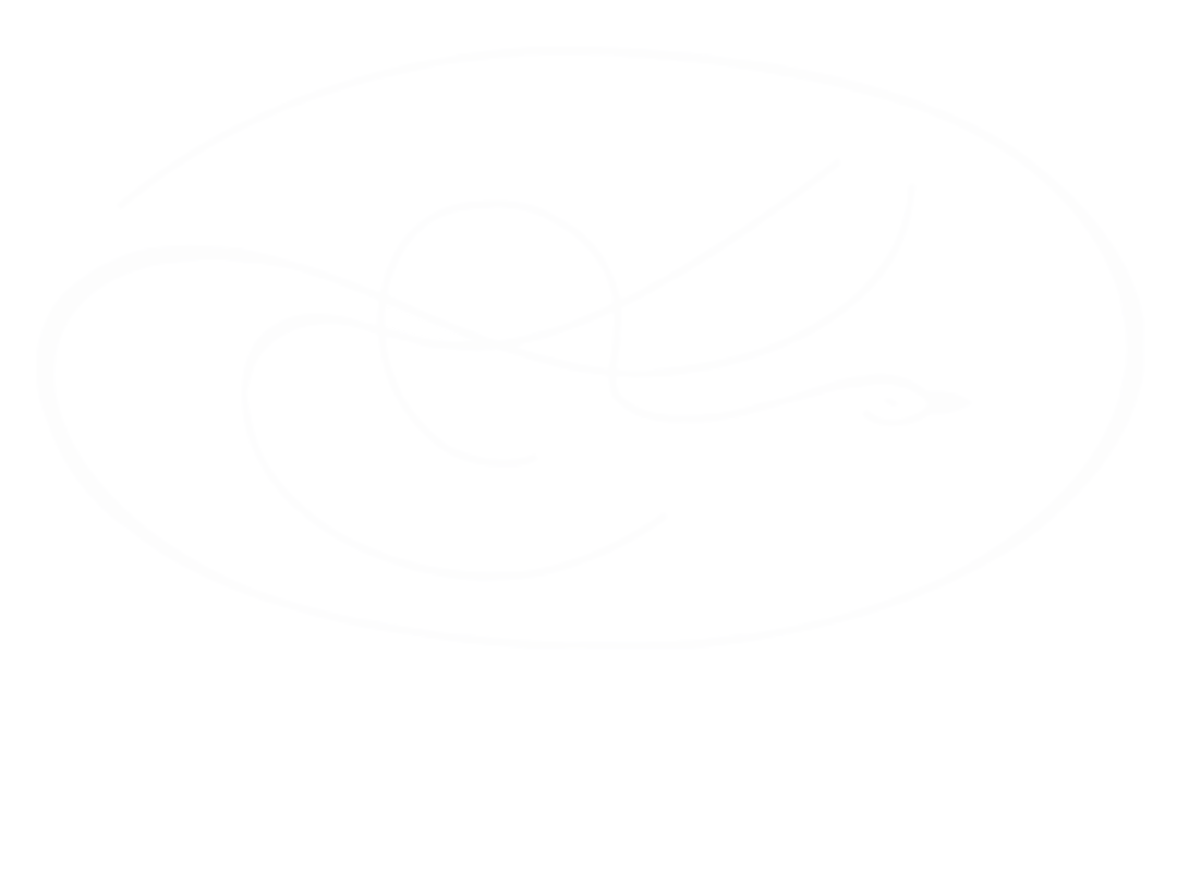 Hotel Der Wilde Schwan